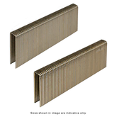 STAPLE 16G HEAVY DUTY WIRE COATED H=38MM C=11.1MM 10000 PER BOX