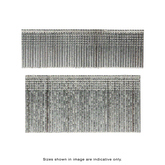 NAILS 16G C SERIES BRAD L=38MM D=1.6MM 2500