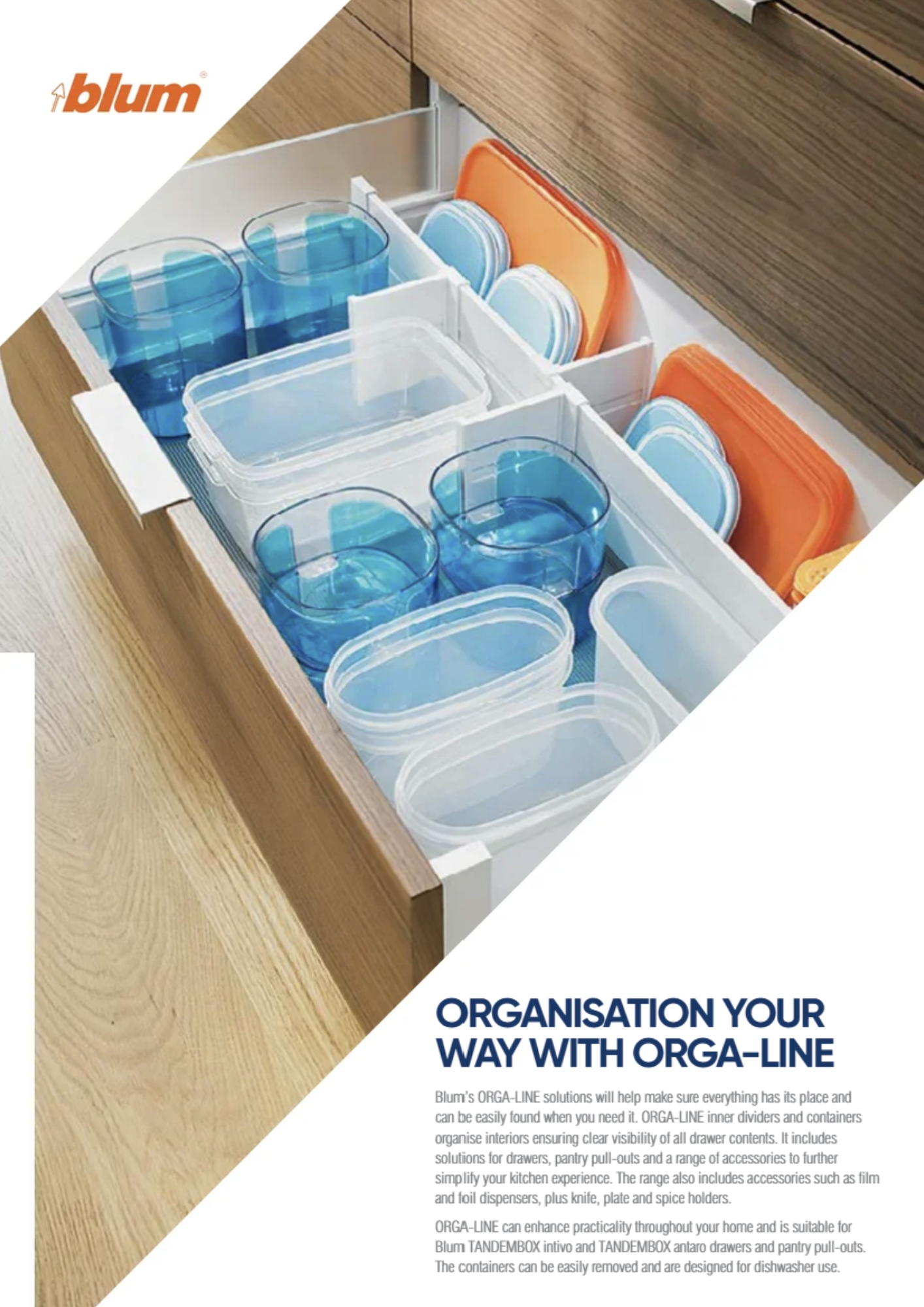 Organisation Solutions