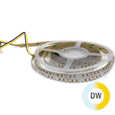 Modar 3527 LED Strip 5m 16.3W/m 24V Dual White