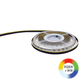 MODAR LED STRIP 5050 60 LED P/M 19.2 W/M 24V RGBW+WARM 5M ROLL