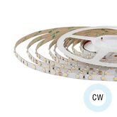 Modar 3528 LED Strip 5m 4.8W/m 12V Cool White