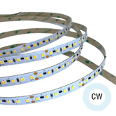 MODAR LED STRIP 2835UL 120 LED P/M 6 W/M 24V COOL WHITE 20M ROLL