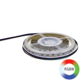 Modar 5050 LED Strip 5m 19.2W/m 24V RGBW