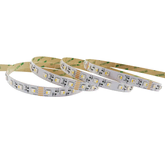 MODAR 5050 IP67 ULTRA-LONG 60 LED/METRE 9.6 WATTS /METRE RGBW 15 METRE